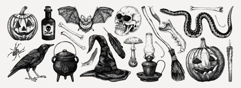Halloween vector illustrations set. Skull, bones, potions, pumpkin head, poisonous mushrooms, snakes, raven sketches. Hand drawn witchcraft and magic element for Halloween design, print, decoration